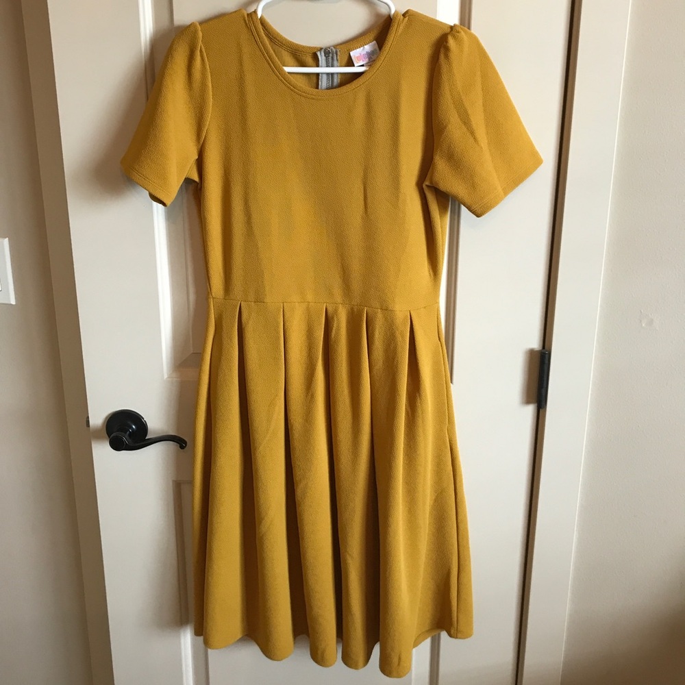 LulaRoe Amelia Dress size M